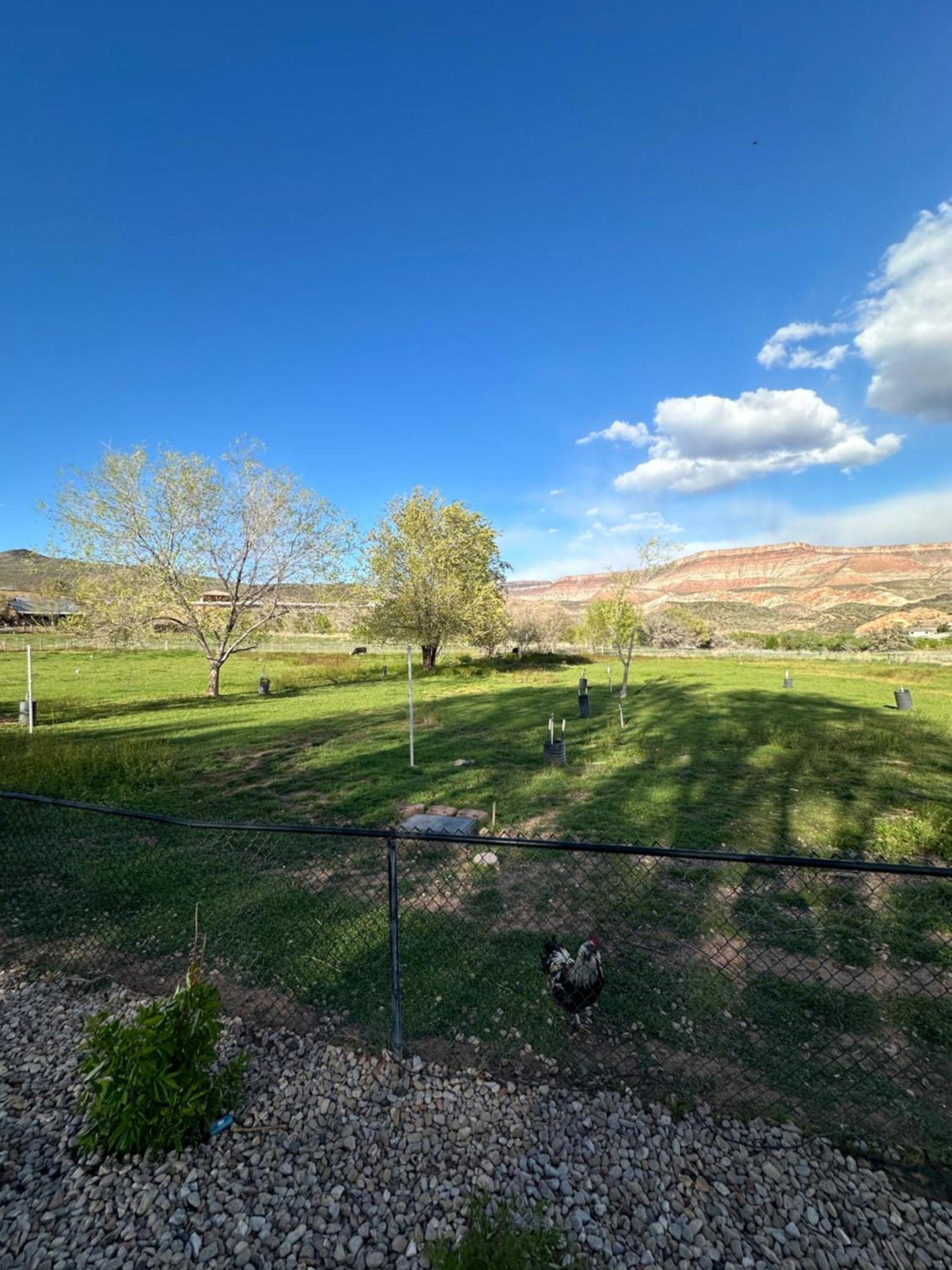 Copper Creek Farm Villa Toquerville Екстериор снимка